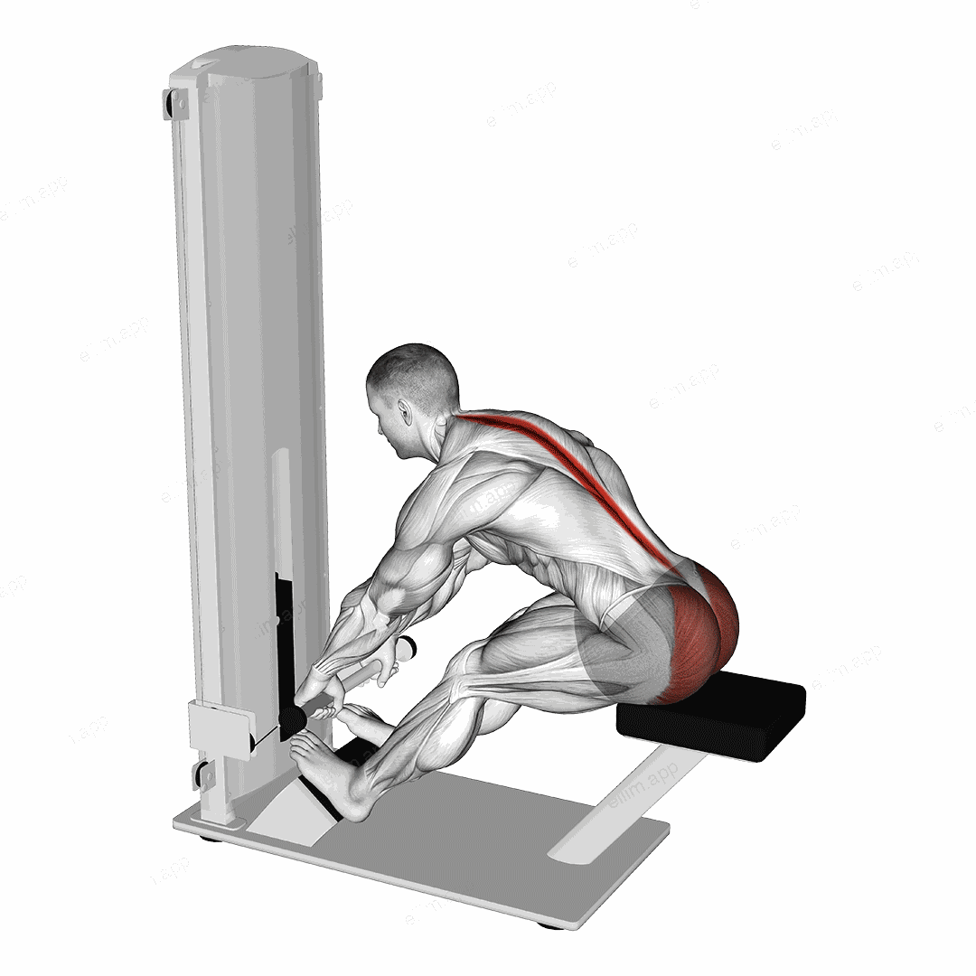 Lever Seated Good Morning exercise targeting Hips and Erector Spinae