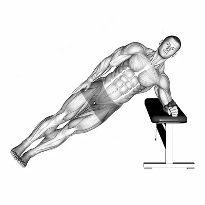 Bodyweight Incline Side Plank exercise targeting Waist and Obliques