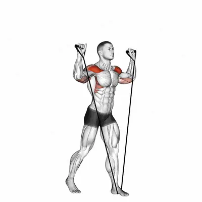 Band shoulder press exercise targeting Shoulders and Deltoid Anterior