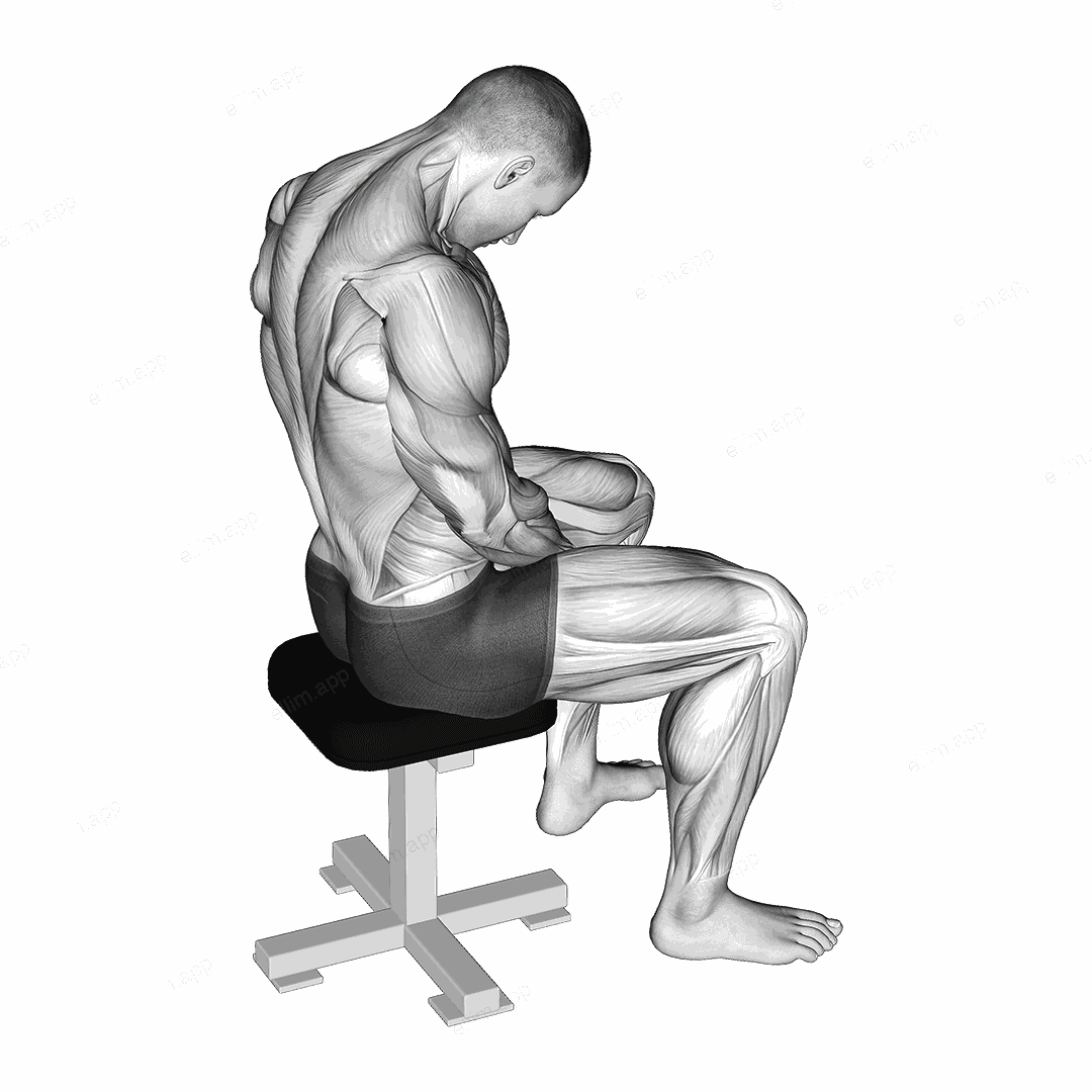 Sitting Neck Flexion Stretch exercise targeting Neck