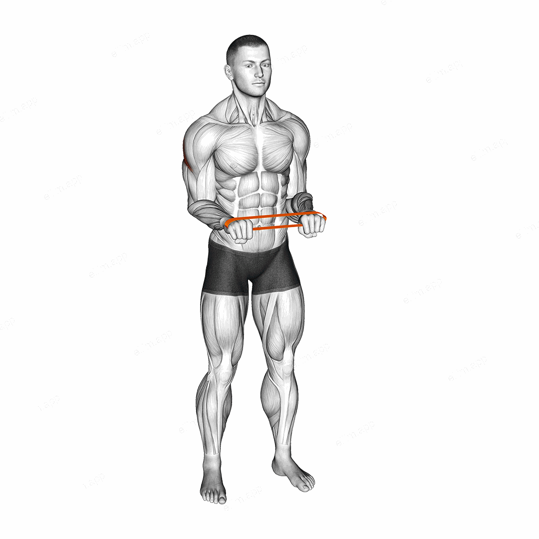 Resistance Band Pullapart (Pronated at 90 Degrees) exercise targeting Shoulders