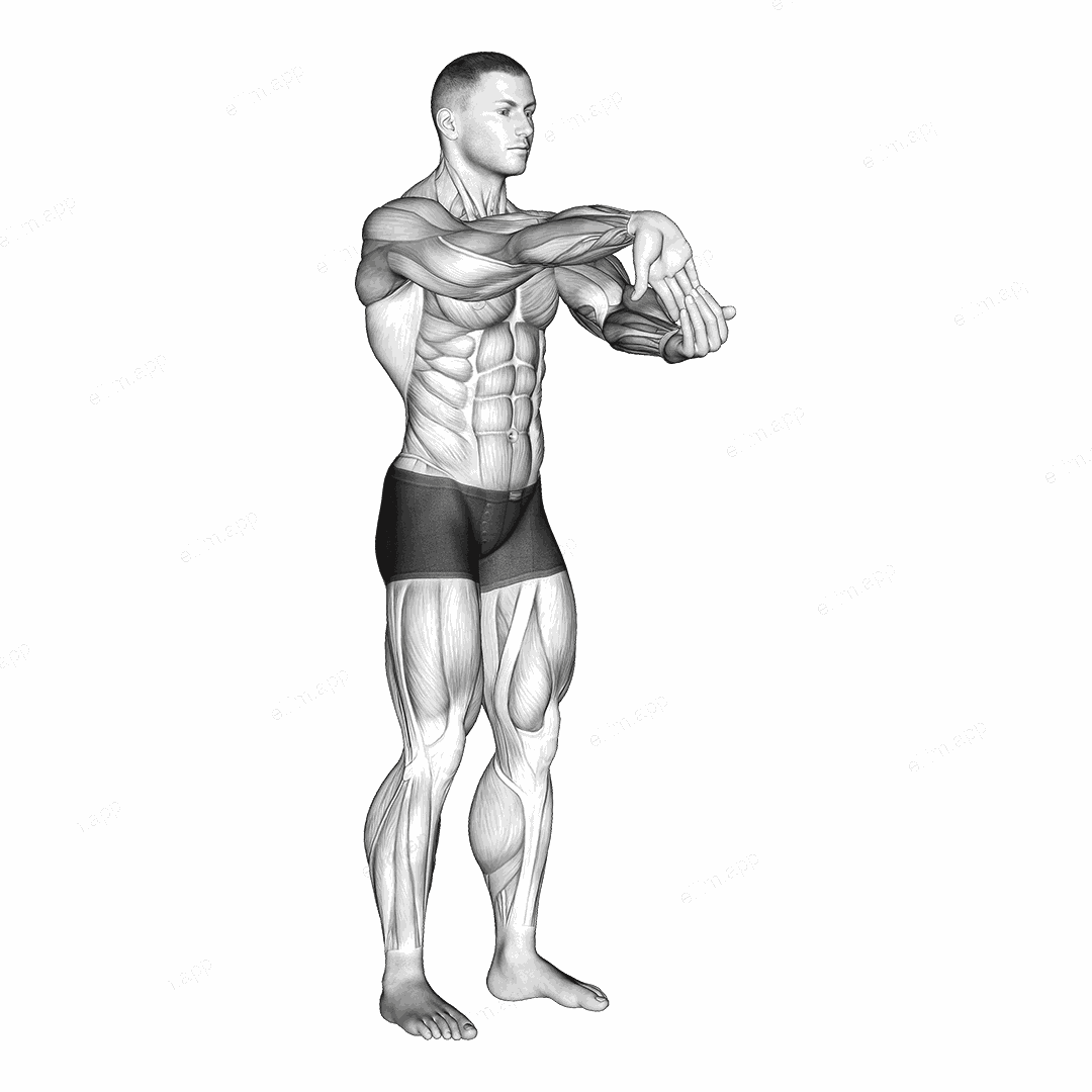 Fingers Down Forearm Stretch exercise targeting Forearms and Brachialis