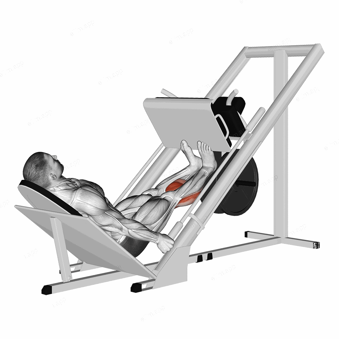 Sled Calf Press On Leg Press exercise targeting Calves and Gastrocnemius