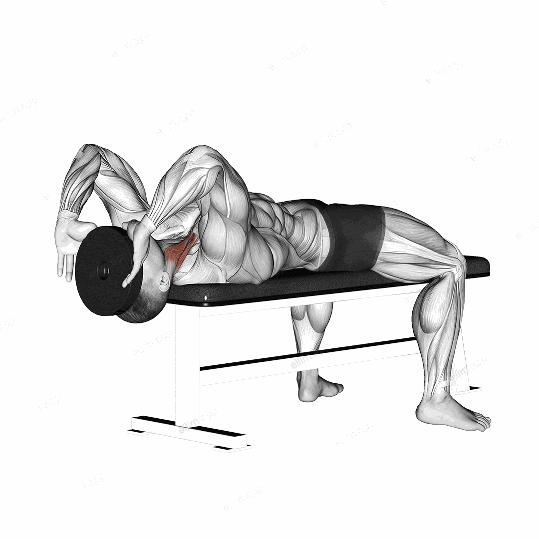 Weighted Lying Neck Flexion exercise targeting Neck and Sternocleidomastoid