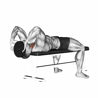 Weighted Lying Neck Flexion exercise targeting Neck and Sternocleidomastoid