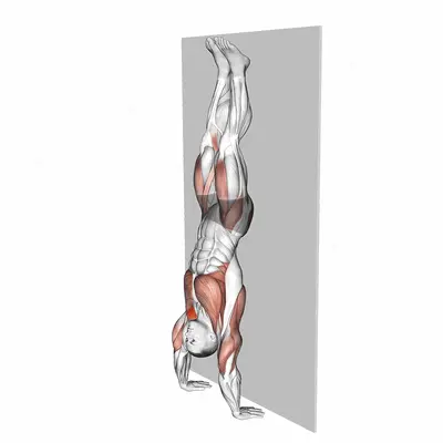 Kipping Handstand Push-up exercise targeting Shoulders