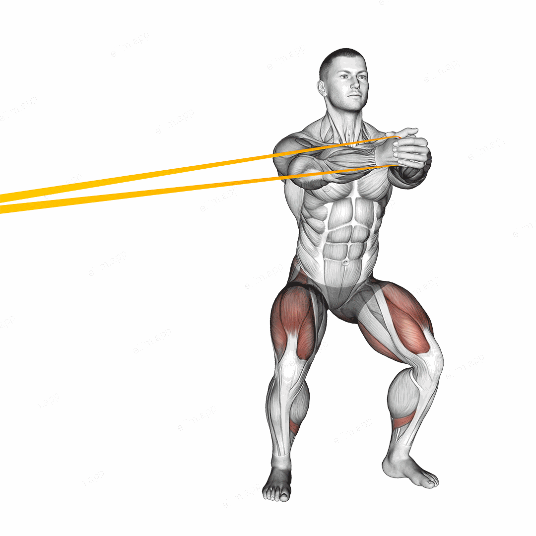 Resistance Band Side Step with Horizontal Pallof Hold exercise targeting Waist