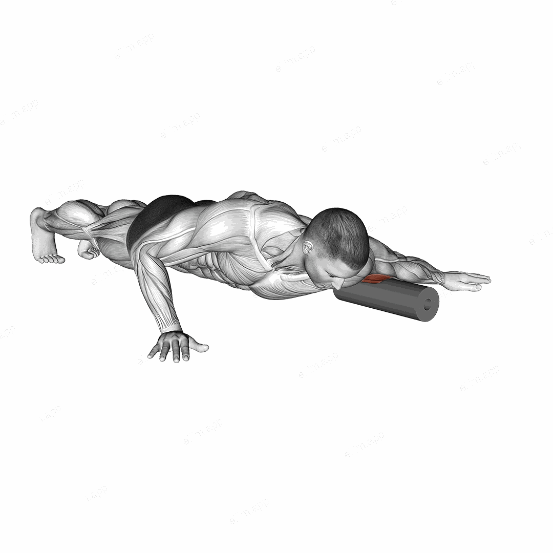 Roll Biceps Lying on Floor exercise targeting Upper Arms