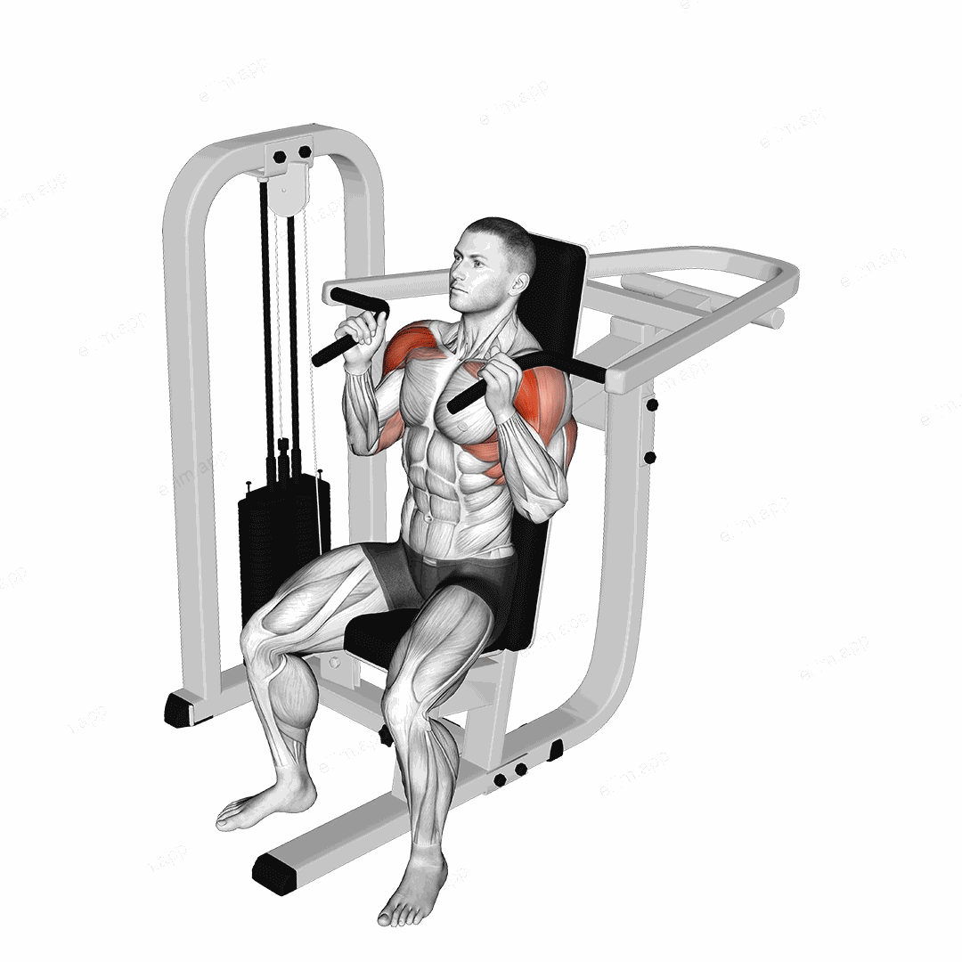 Lever Seated Hammer Grip Shoulder Press exercise targeting Shoulders