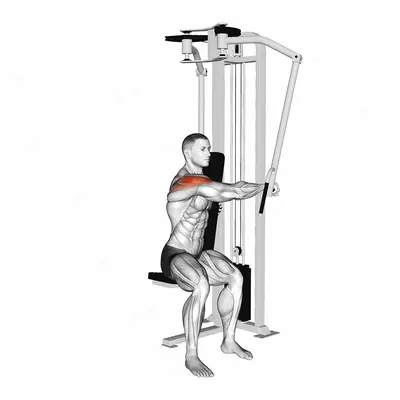 Lever Side Seated Single Arm Rear Delt Fly exercise targeting Shoulders