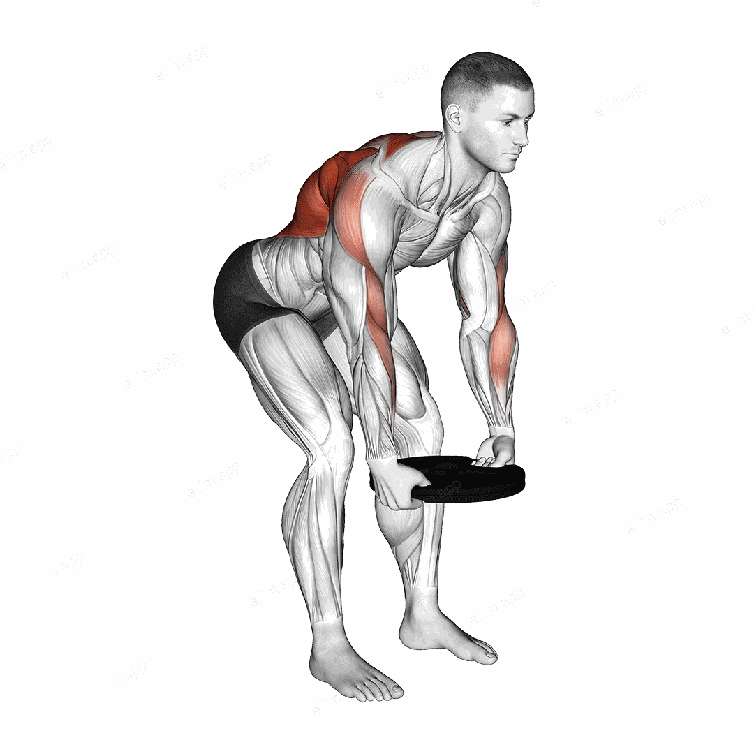 Weighted Plate Bent Over Row exercise targeting Back and Infraspinatus