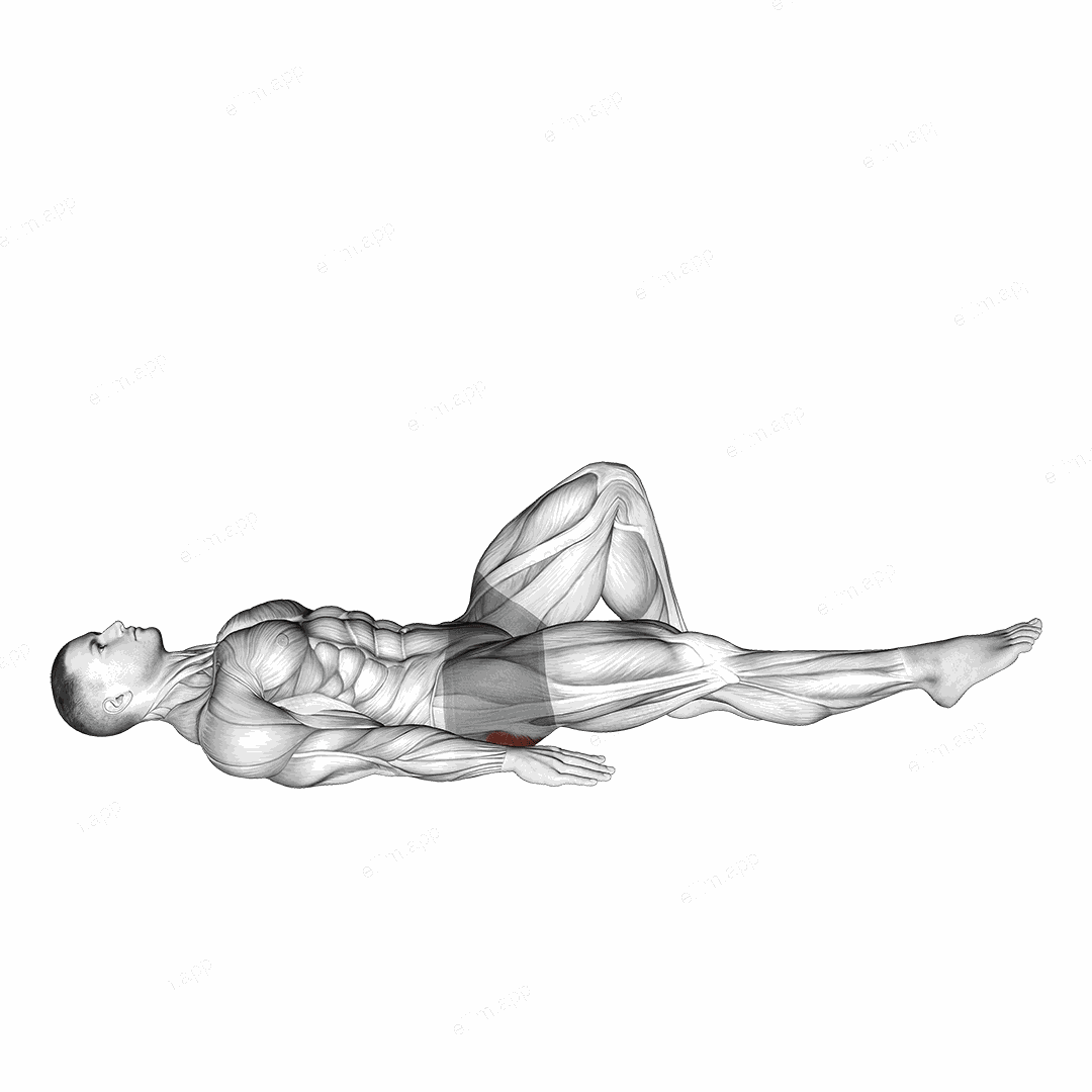 Single Leg Bridge with Outstretched Leg exercise targeting Hips and Gluteus Maximus