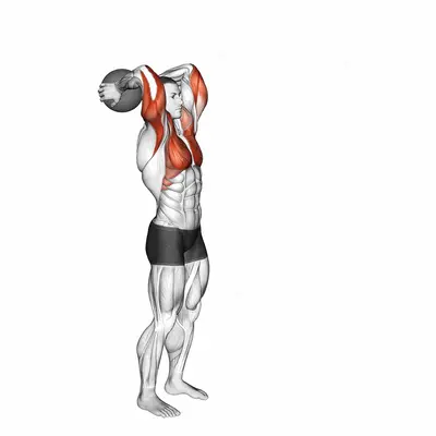 Medicine Ball Standing Overhead Throw exercise targeting Pectoralis Major Clavicular Head and Pectoralis Major Sternal Head
