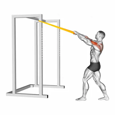 Resistance Band Rear Delt Row exercise targeting Back