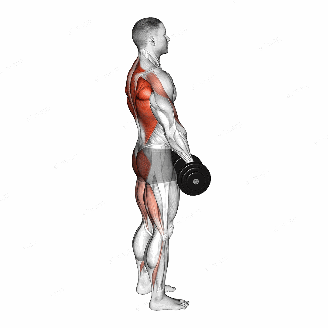Dumbbell RDL and Bent over Row exercise targeting Back