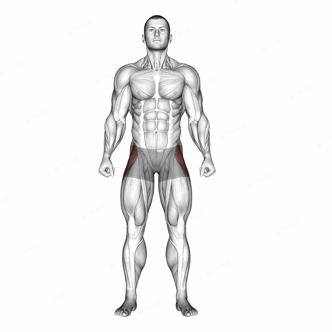 Straight Leg Outer Hip Abductor exercise targeting Hips and Gluteus Medius