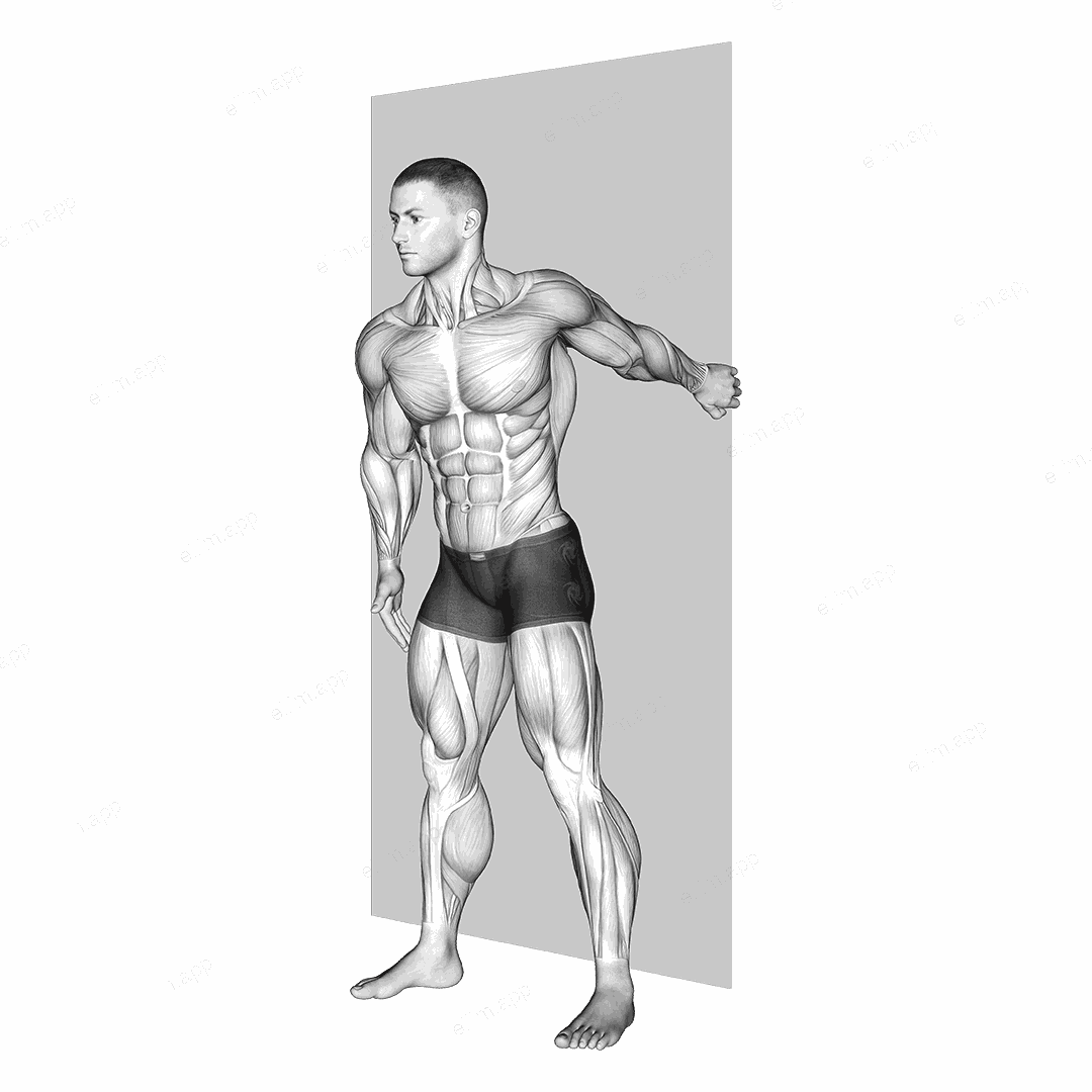 Forearm Pronator Stretch exercise targeting Forearms
