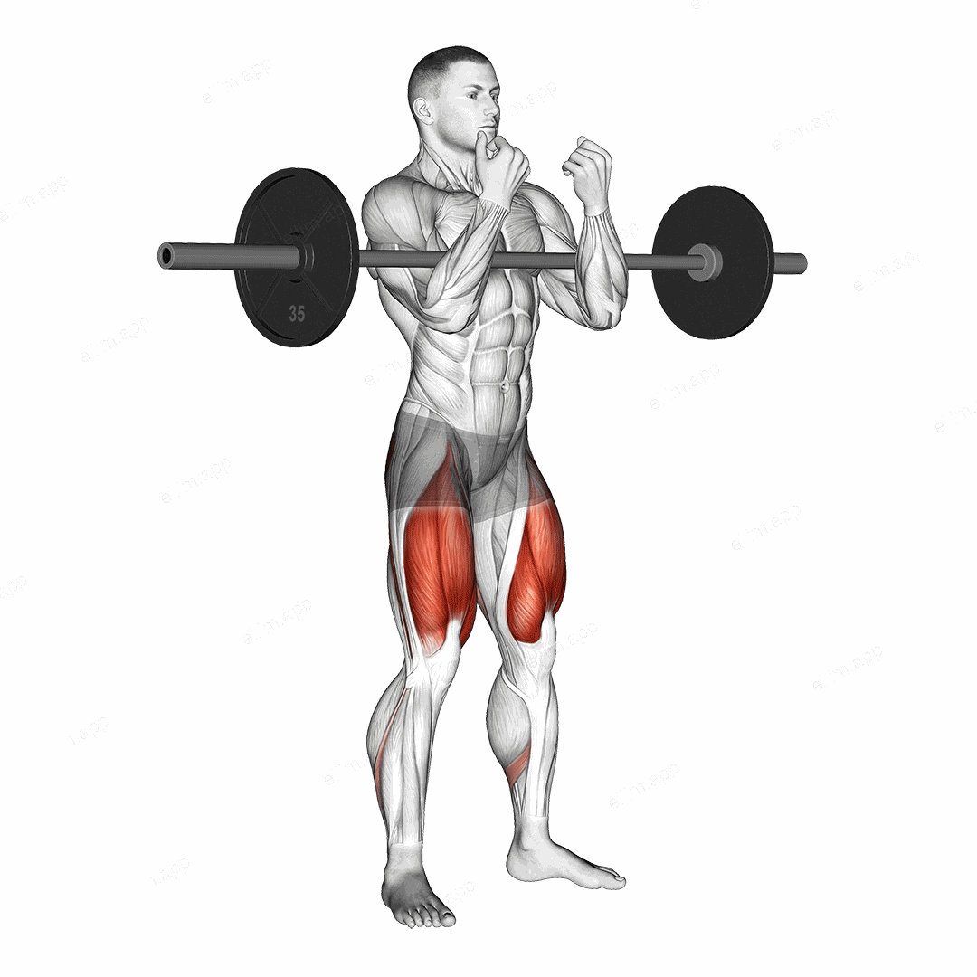 Barbell full Zercher Squat exercise targeting Thighs and Gluteus Maximus