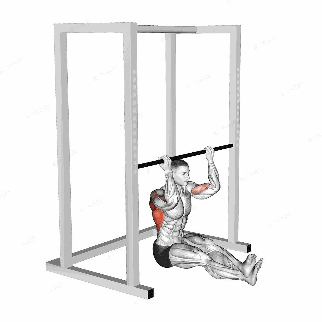 Seated Chin up (low bar position) exercise targeting Back