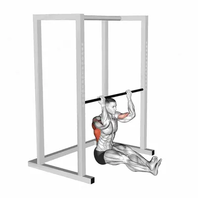 Seated Chin up (low bar position) exercise targeting Back