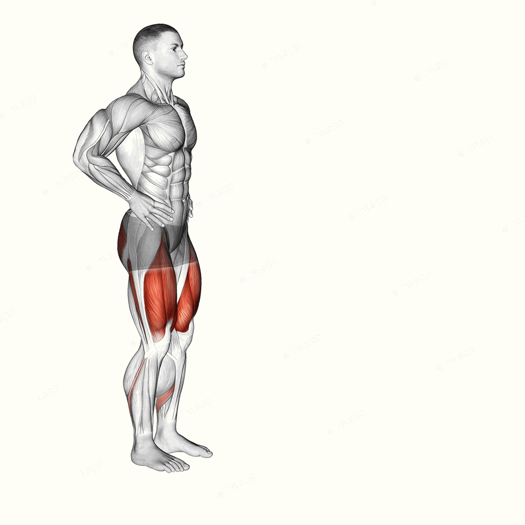 Forward Lunge exercise targeting Thighs and Gluteus Maximus