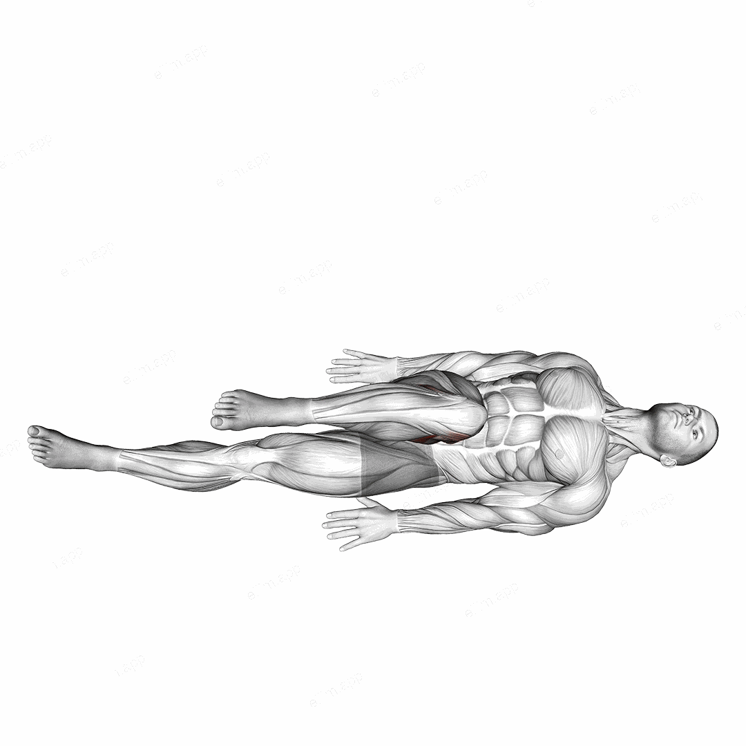 Lying Bent Knee Figure 8 exercise targeting Hips and Adductor Brevis