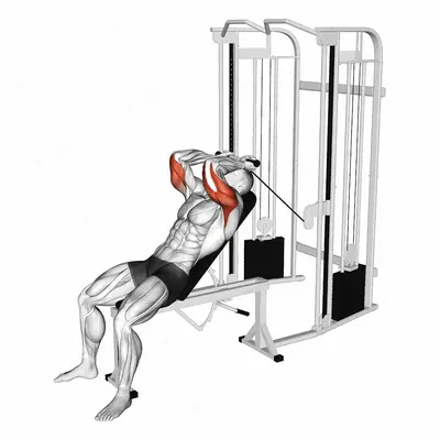 Cable Incline Skull Crusher exercise targeting Upper Arms