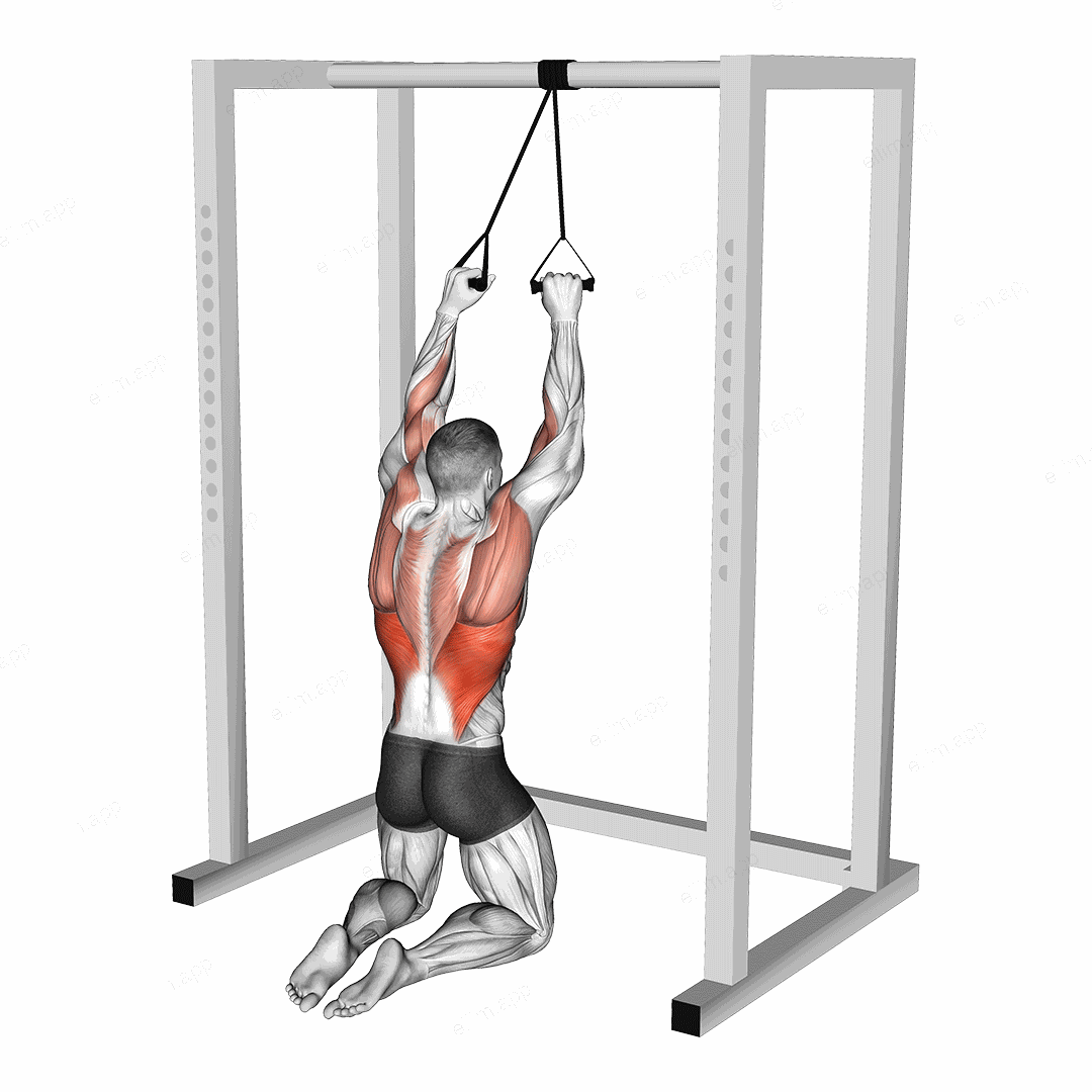 Band Knelling Lat Pulldown exercise targeting Back