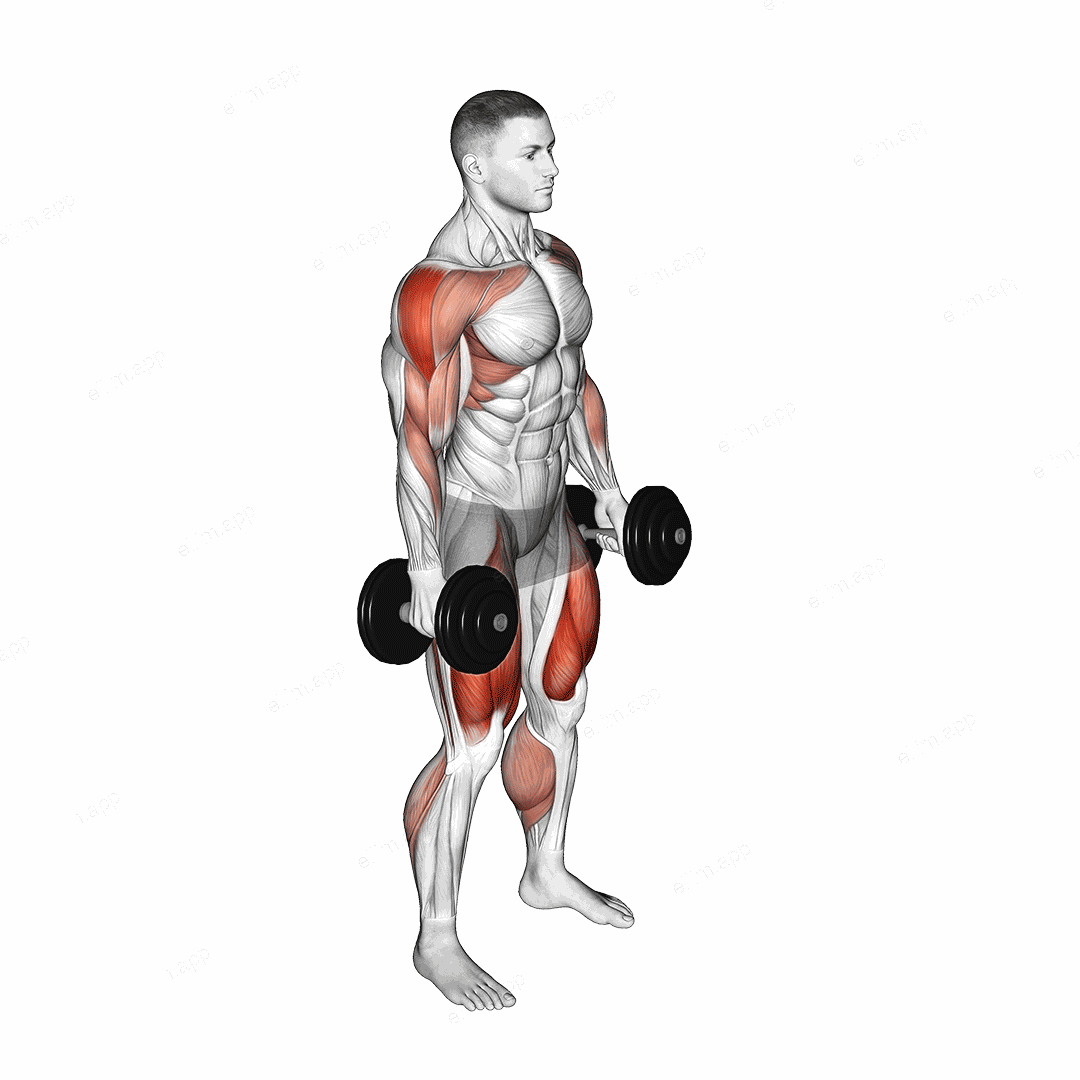 Dumbbell Hang Power Clean exercise targeting Weightlifting and Adductor Magnus