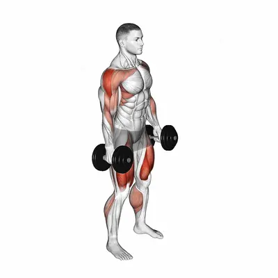 Dumbbell Hang Power Clean exercise targeting Weightlifting and Adductor Magnus