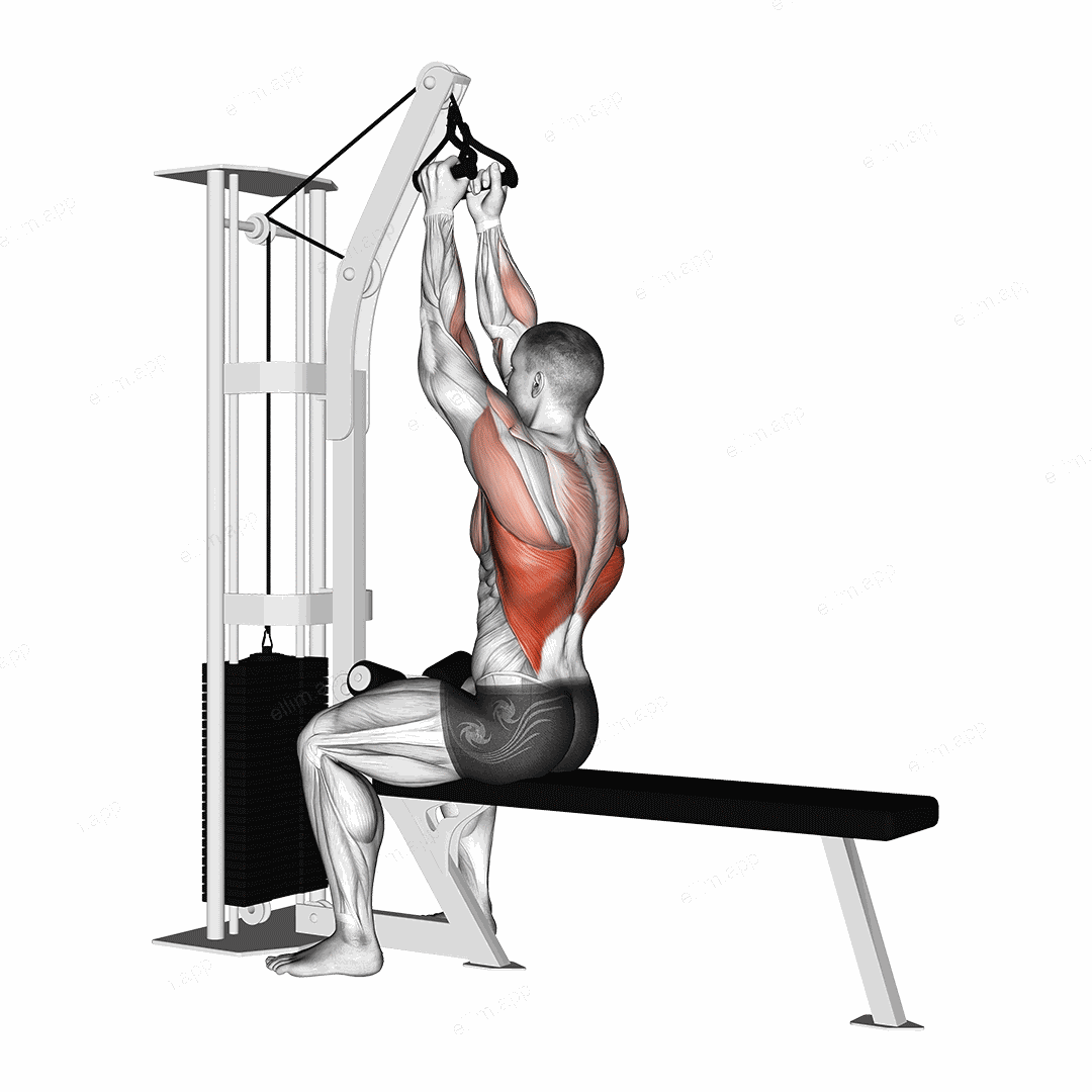 Cable Seated High Row (V bar) exercise targeting Back