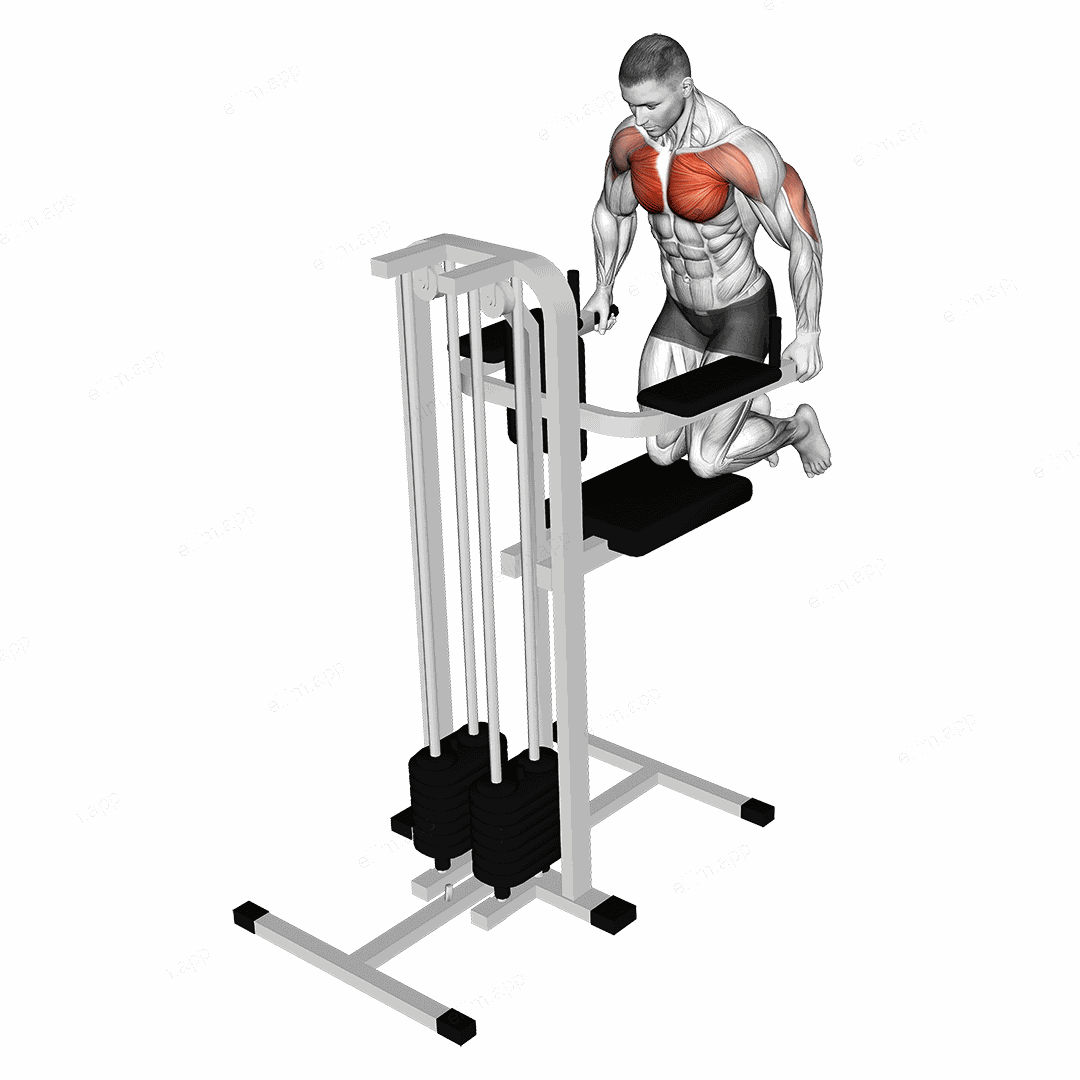 Assisted Wide Grip Chest Dip (kneeling) exercise targeting Chest