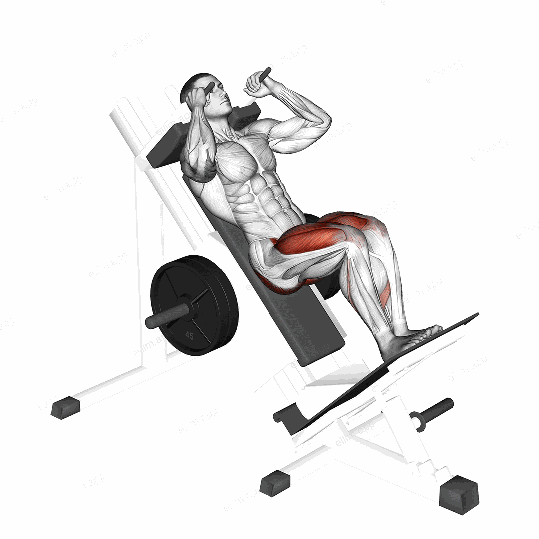 Sled Closer Hack Squat exercise targeting Thighs and Gluteus Maximus