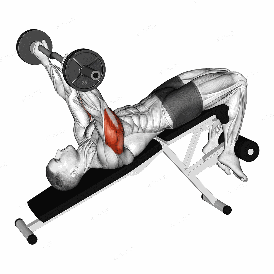 EZ Barbell Decline Triceps Extension exercise targeting Upper Arms and Triceps Brachii