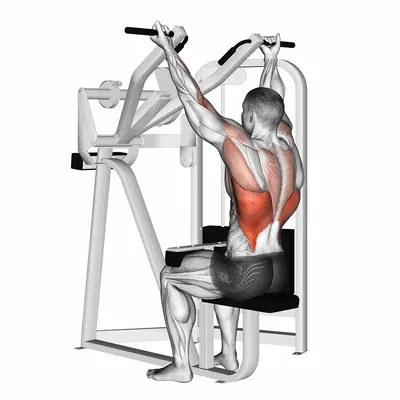 reverse grip machine lat pulldown exercise targeting Back