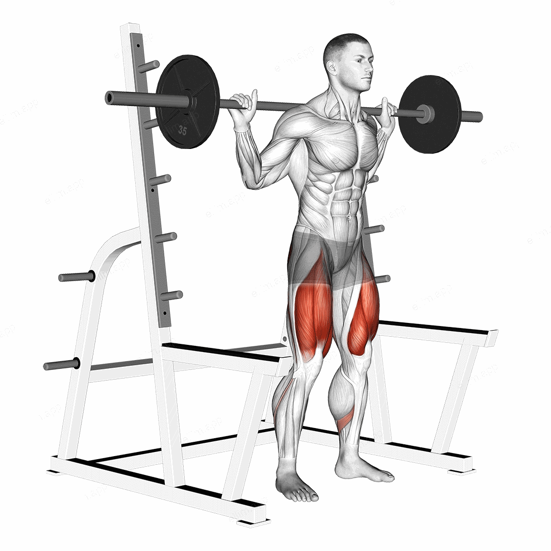 Barbell Low Bar Squat with Rack exercise targeting Thighs