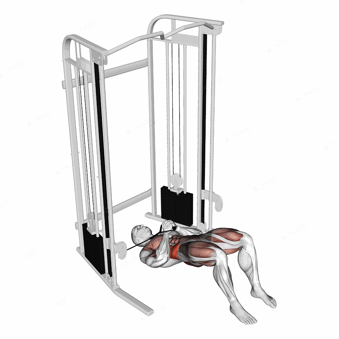 Cable Pallof Press with Glute Bridge exercise targeting Waist