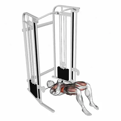 Cable Pallof Press with Glute Bridge exercise targeting Waist