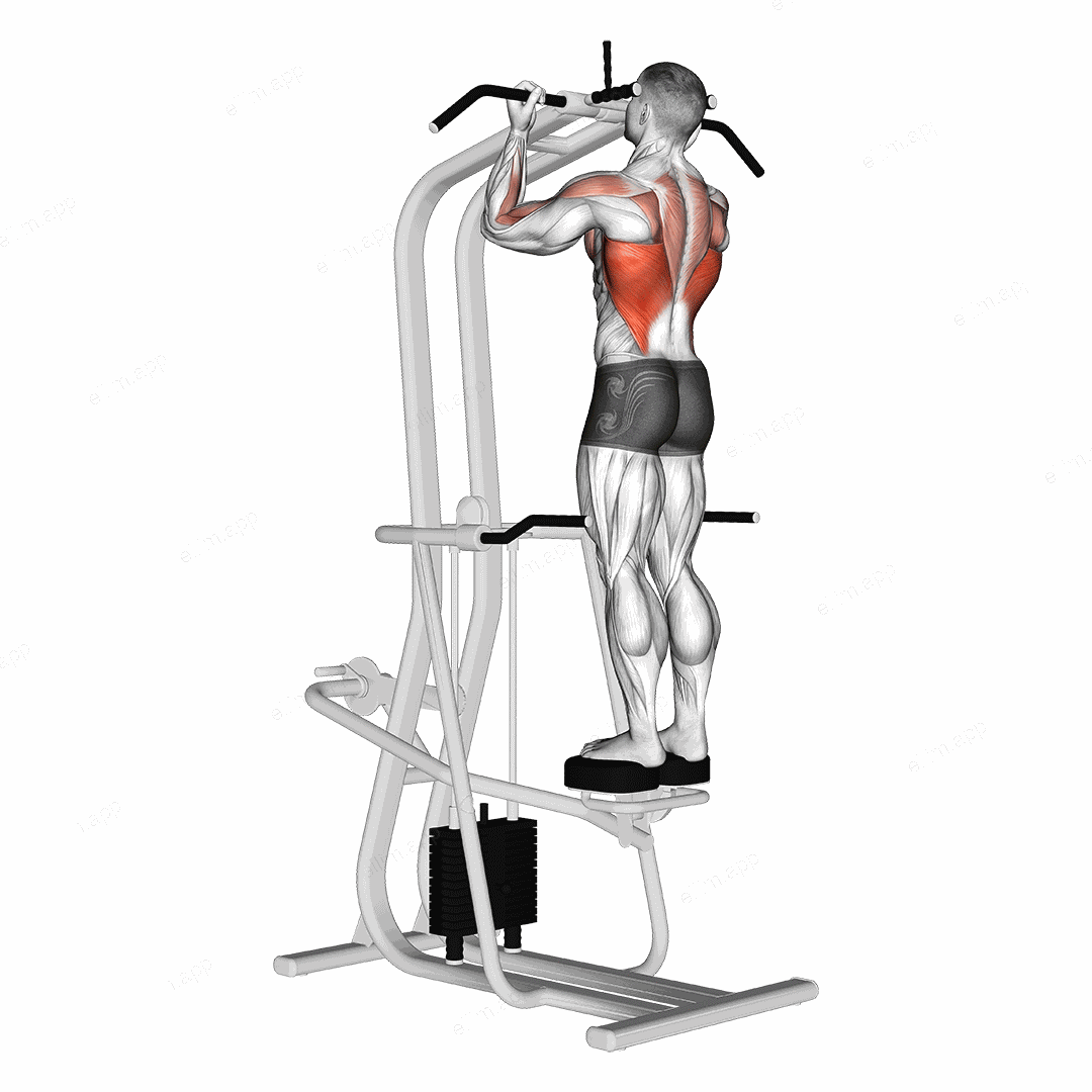 Assisted Standing Chin-Up exercise targeting Back and Latissimus Dorsi