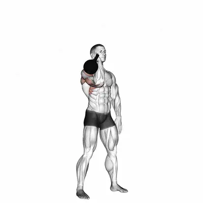 Kettlebell One Arm Military Press To The Side exercise targeting Shoulders and Deltoid Anterior