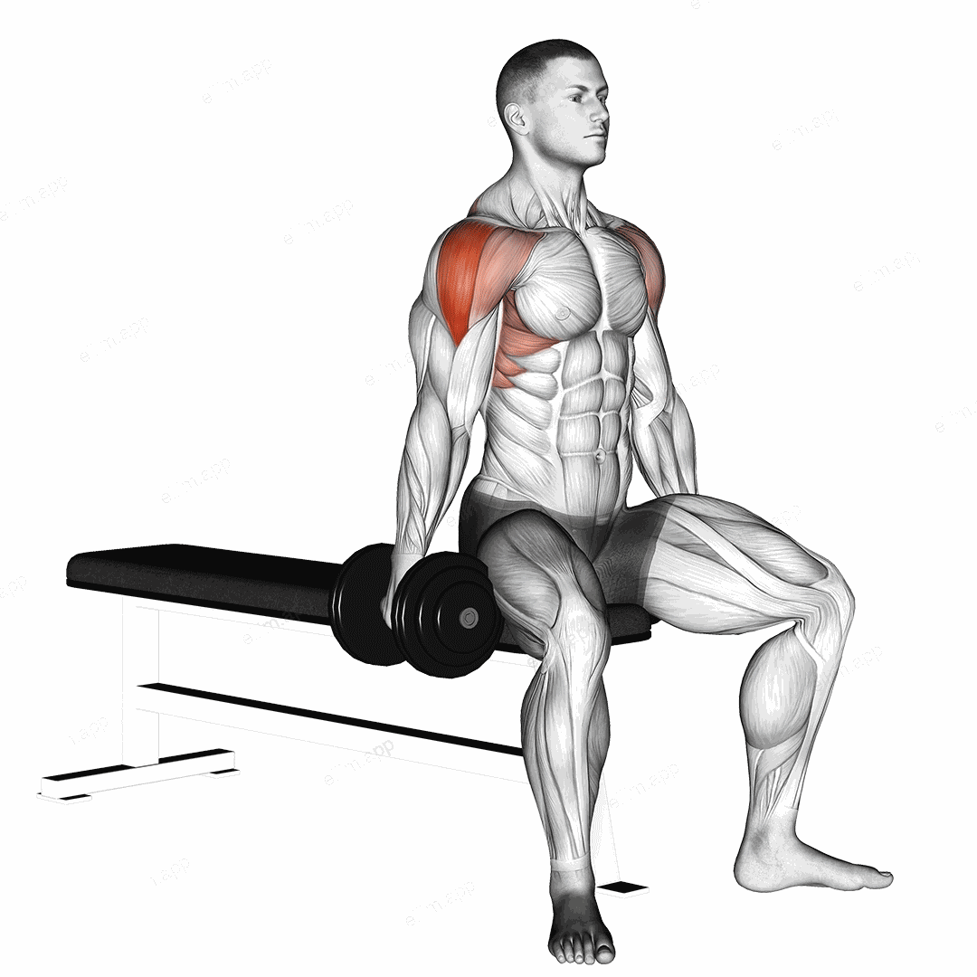 Dumbbell Seated Lateral Raise exercise targeting Shoulders and Deltoid Lateral