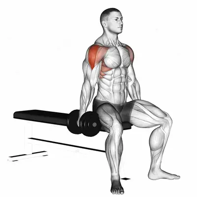 Dumbbell Seated Lateral Raise exercise targeting Shoulders and Deltoid Lateral