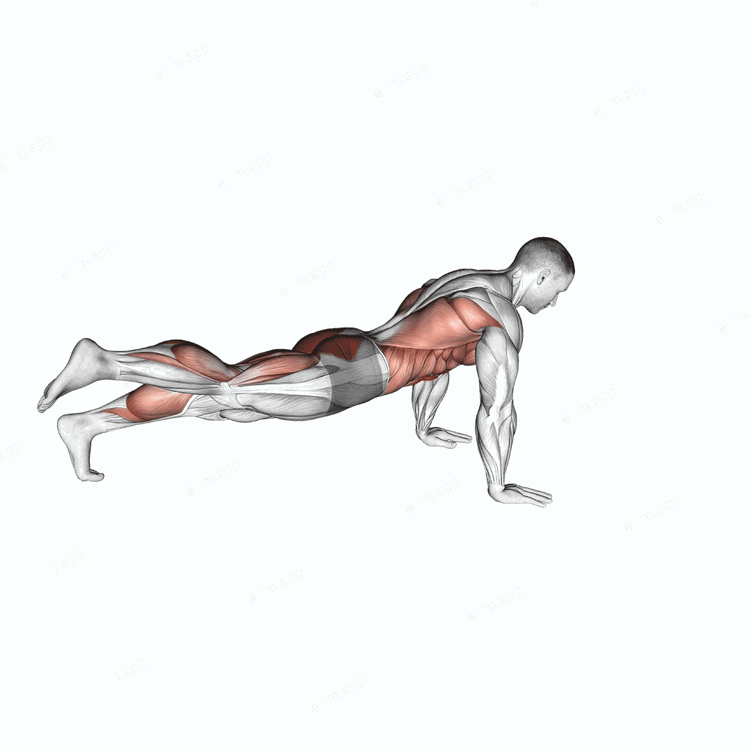 Power Point Plank exercise targeting Thighs and Iliopsoas