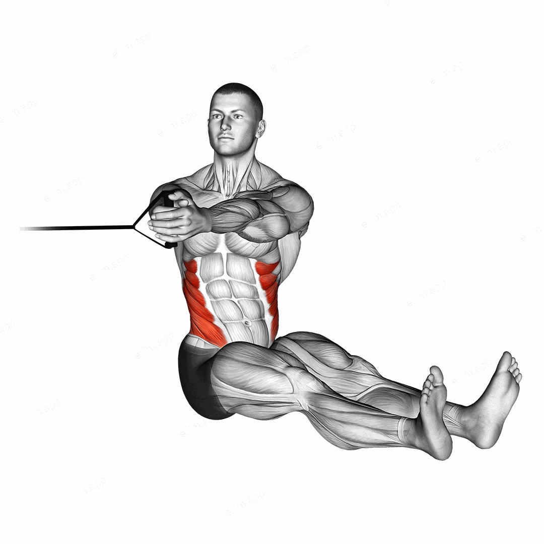 Band seated twist exercise targeting Waist and Obliques
