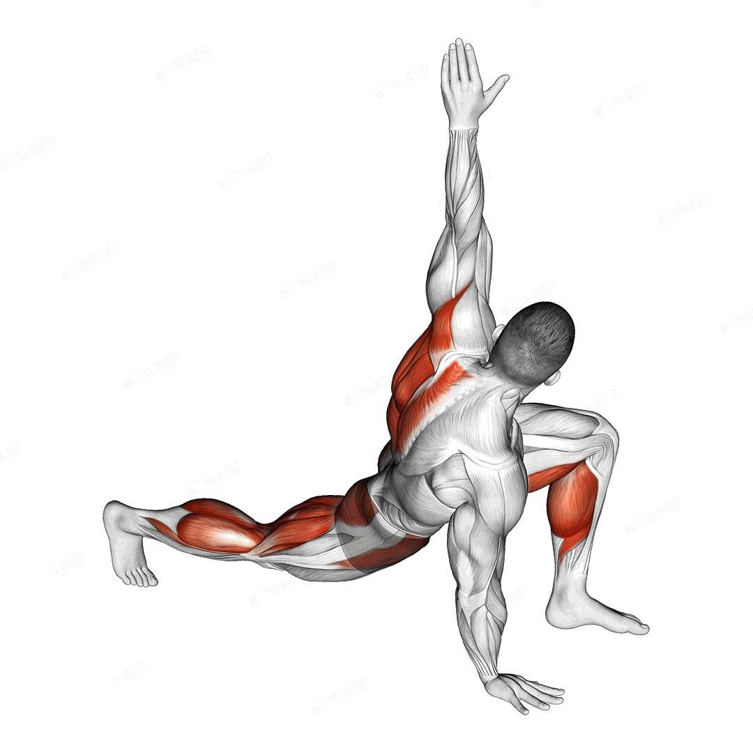 Warming-up in Lunge (five) exercise targeting Back and Hips