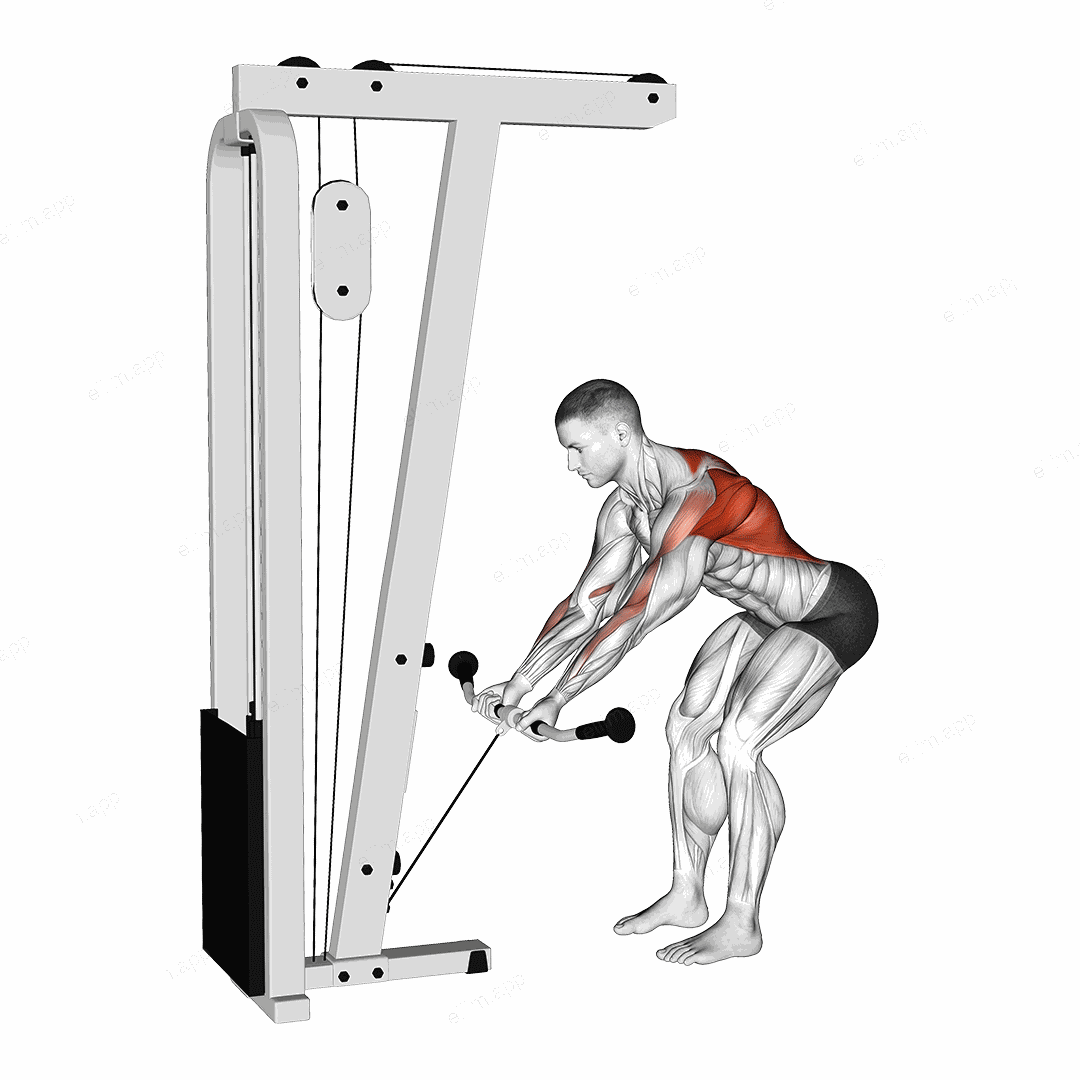 Cable Bent Over Reverse Grip Row exercise targeting Back