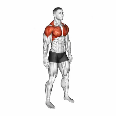 Shoulder Circle exercise targeting Back