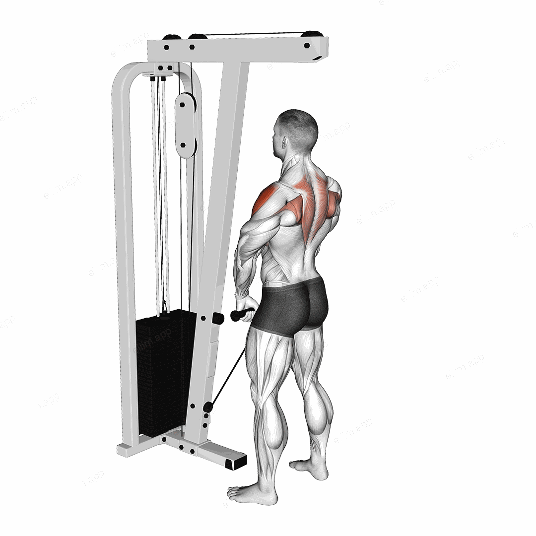 Cable Upright Row exercise targeting Shoulders and Deltoid Lateral