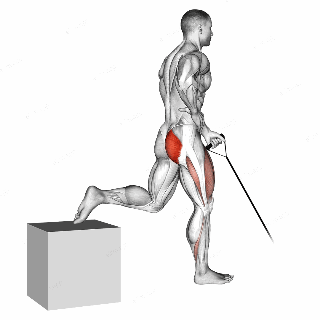 Band One Arm Single Leg Split Squat exercise targeting Hips and Gluteus Maximus