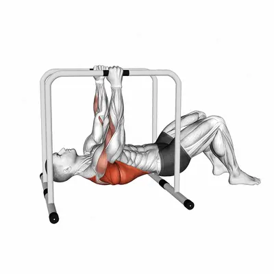 Parallel Bars Bent Knee Inverted Row exercise targeting Back